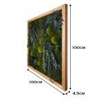 Mechový obraz - mumifikované rostliny - 100x100cm - dřevěný rám světlý