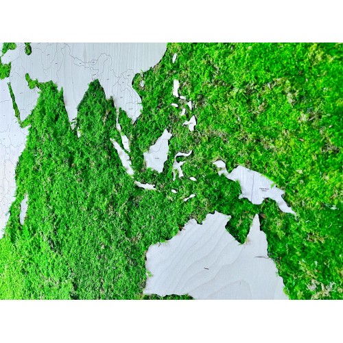 Mechový obraz mapy světa 200x100cm - tenký hliníkový rám dle vlastní barvy