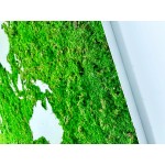 Mechový obraz mapy světa 200x100cm - tenký hliníkový rám dle vlastní barvy