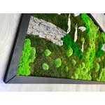 Mechový obraz mix mechu -dřeviny - rostliny 180*90cm - dřevěný rám černý