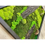 Mechový obraz mix mechu -dřeviny - rostliny 200*100cm - dřevěný rám černý