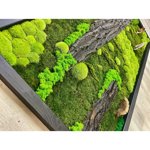 Mechový obraz mix mechu -dřeviny - rostliny 200*100cm - dřevěný rám černý